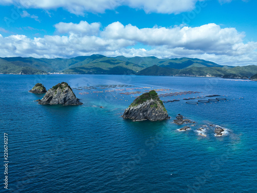 愛媛県愛南町　三ッ畑田島