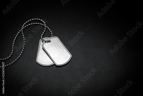 Blank metallic military dog tags on dark background with copy space