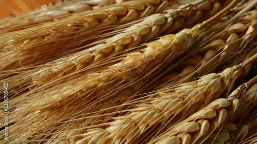 Close-up of dried barley