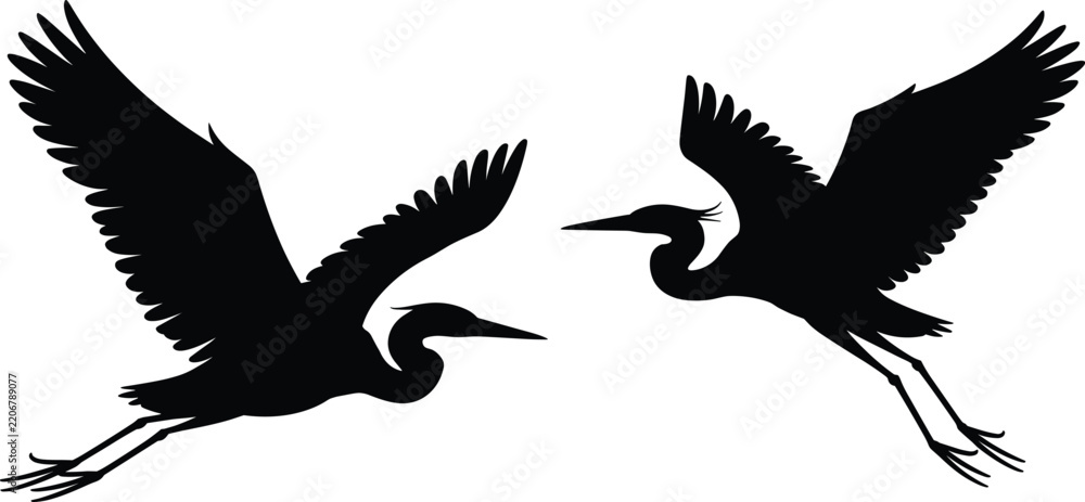 Obraz premium Two black silhouettes of flying herons, isolated on a white background, featuring detailed wing feathers and long pointed beaks in a dynamic pose