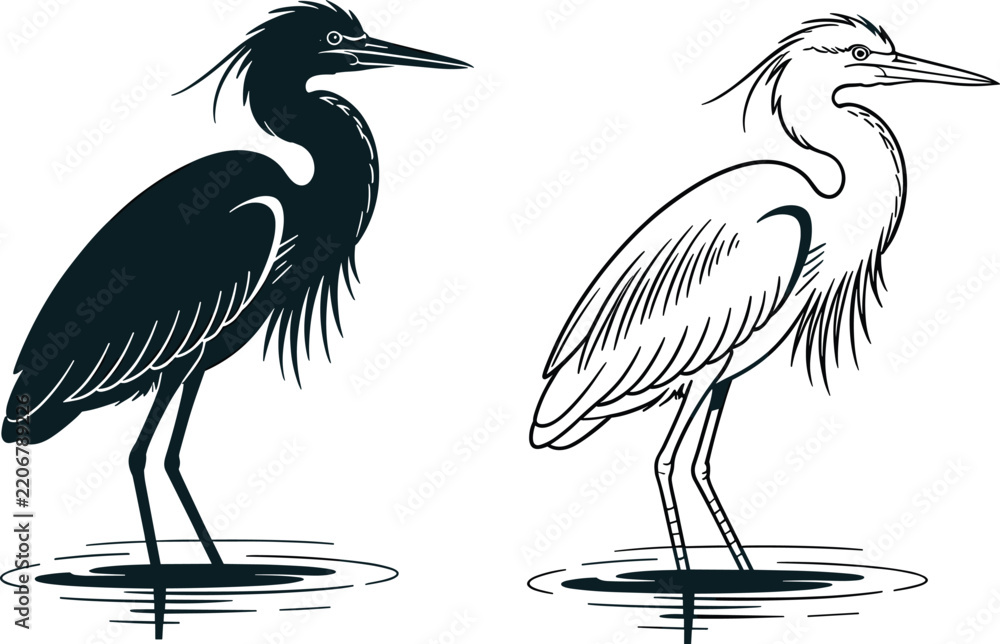 Obraz premium Two of a standing heron, one solid black silhouette and one detailed line outline, isolated on a white background