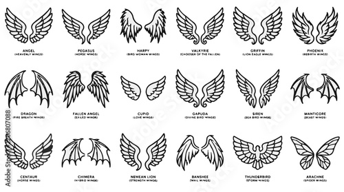 Mythological Wings Set Illustration Featuring Diverse Fantasy Creature Wing Designs