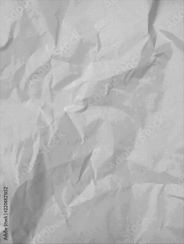Black halftone dots with wrinkled paper folds, distressed monochrome crumpled texture for posters, print and retro graphic designs.
