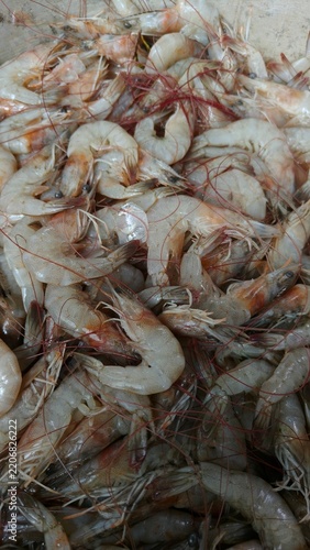 Close view of fresh raw shrimp pile on market stall