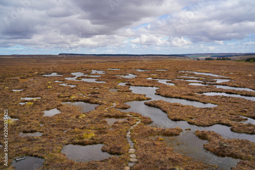 Forsinard Flows, a national nature reserve in the Scottish highlands. Forsinard Flows is part of the Flow Country, which is a large, rolling expanse of peatland and wetland in Caithness