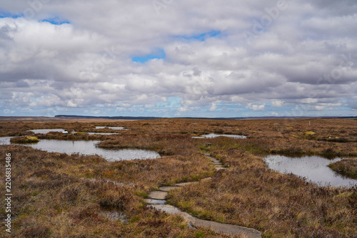 Forsinard Flows, a national nature reserve in the Scottish highlands. Forsinard Flows is part of the Flow Country, which is a large, rolling expanse of peatland and wetland in Caithness