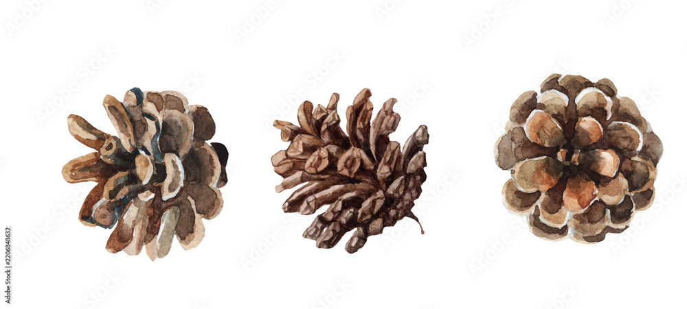 Fototapeta premium A collection of original watercolor illustrations depicting pine cones.