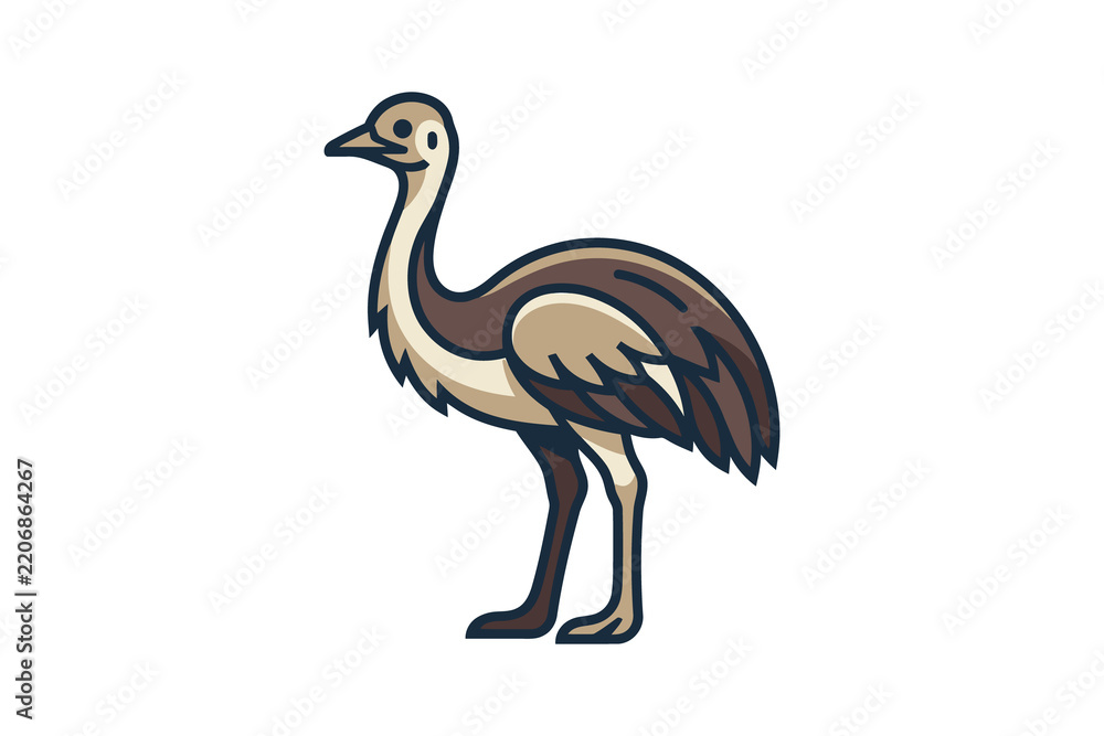 Fototapeta premium Emu Flat Vector Illustration