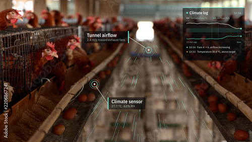 Smart poultry farm house with climate control graphic overlay monitoring airflow and sensor data, automated chicken egg production, smart agriculture technology, and industrial farming concept