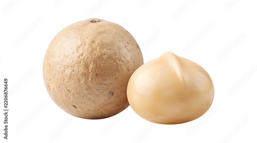 Fototapeta premium Macadamia nut with shell