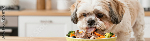 shot plump dog enthusiastically devouring colorful bowl mixed meats steamed vegetables soft warm