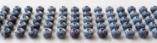 wide shot frozen blueberry array creates unique icy textured background amidst neutral tones soft natural