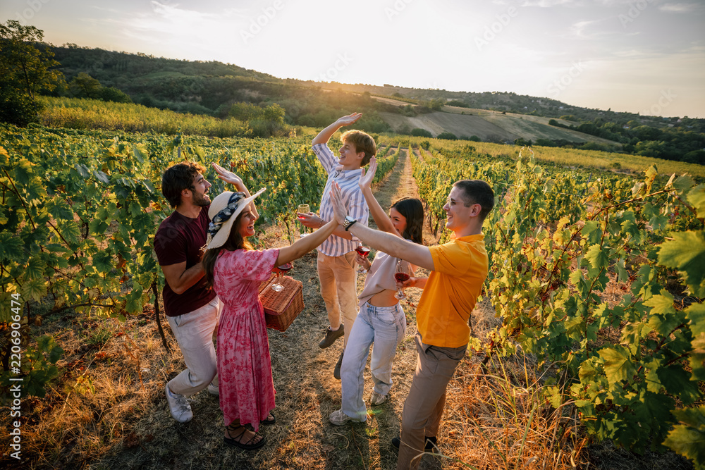 Obraz premium Friends giving high five during wine tasting picnic in sunny vineyard