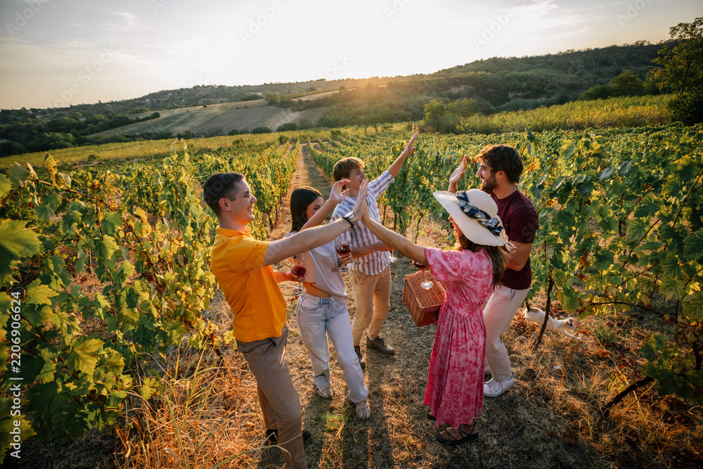 Obraz premium Cheerful group of friends giving high fives at sunset vineyard picnic