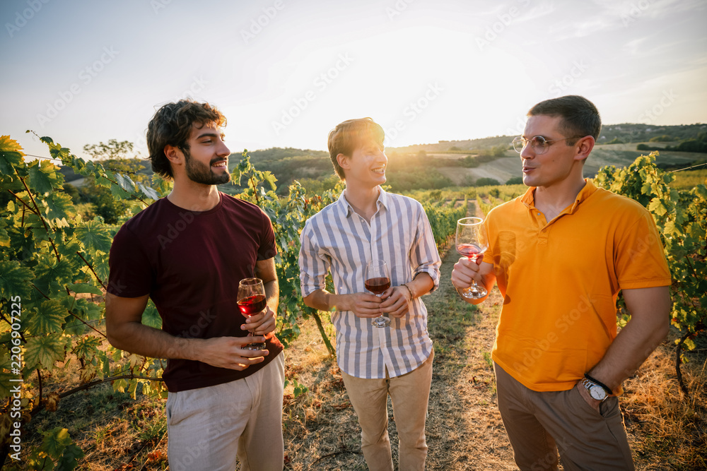 Obraz premium Three young men standing and talking with wine glasses in vineyard