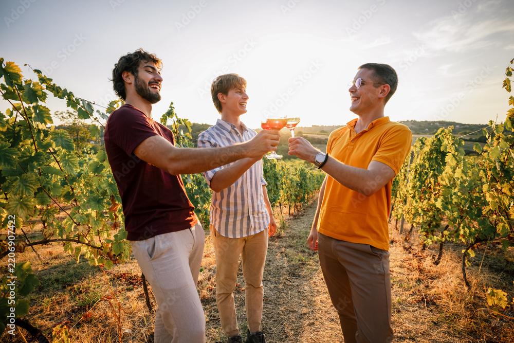 Obraz premium Three male friends toasting with wine glasses in a sunlit vineyard