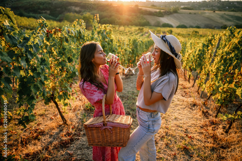 Obraz premium Two women drinking red wine together in a sunlit vineyard row