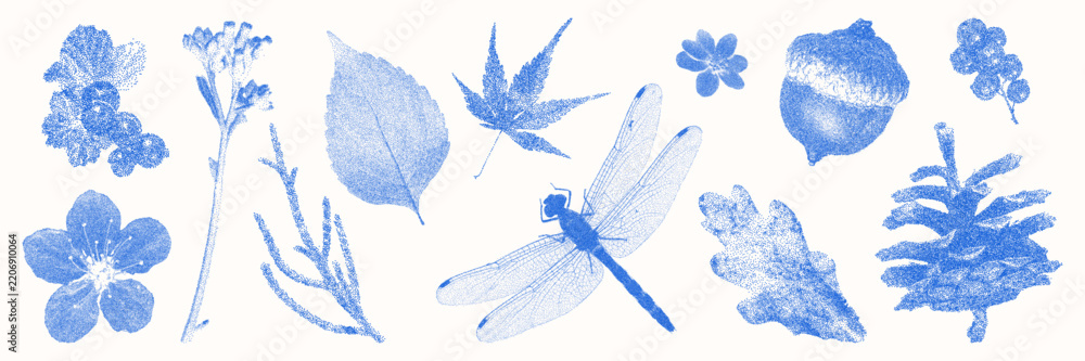 Fototapeta premium Blue cyanotype botanical and floral elements asset pack. Stipple dot overlay texture with flower and twig silhouette. Delicate indigo blue nature shape for template and graphic design project.