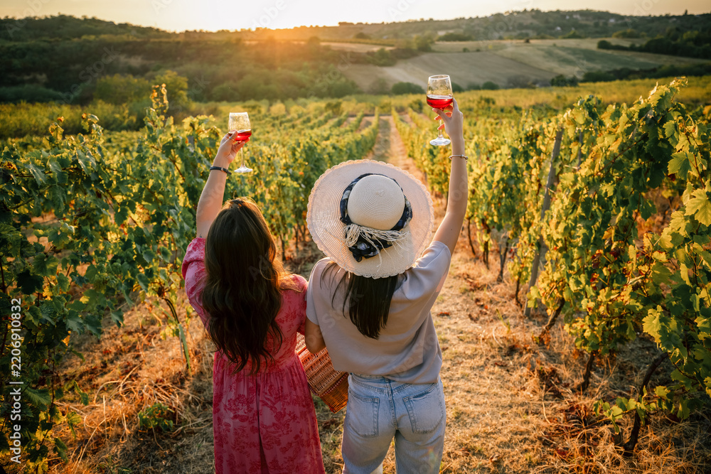 Obraz premium Two women holding wine glasses up towards sunset in vineyard