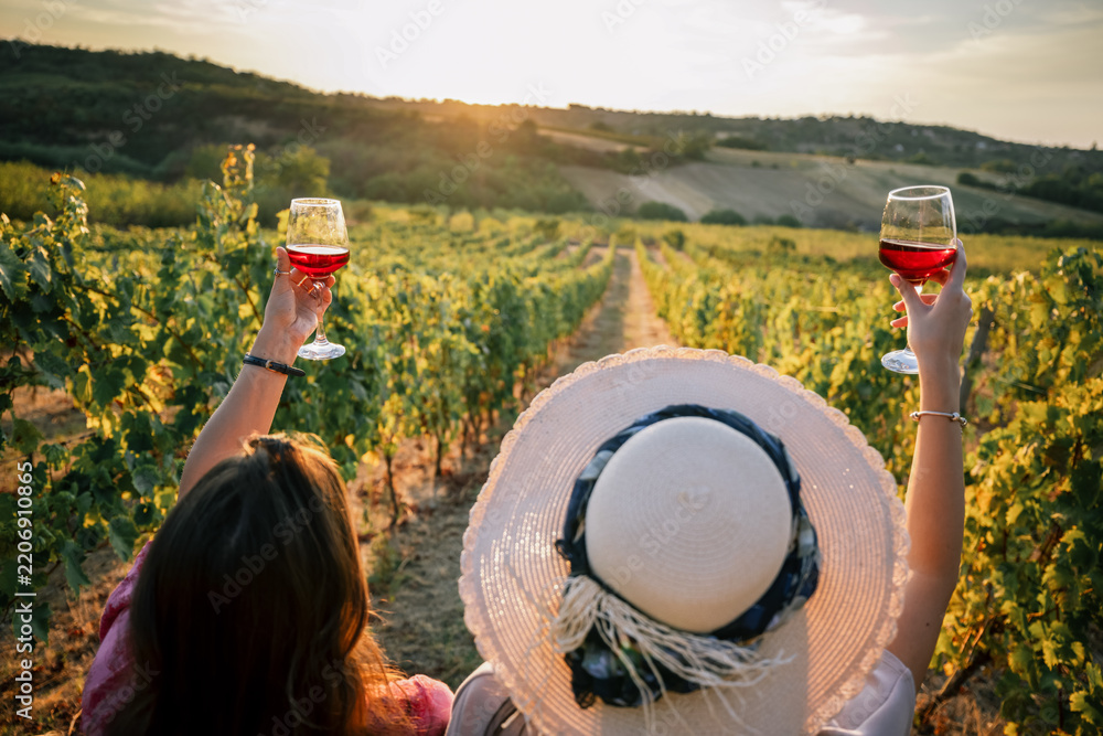 Obraz premium High angle back view of two women raising wine glasses in vineyard