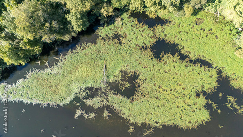 Minho River wetland ecosystem aerial view