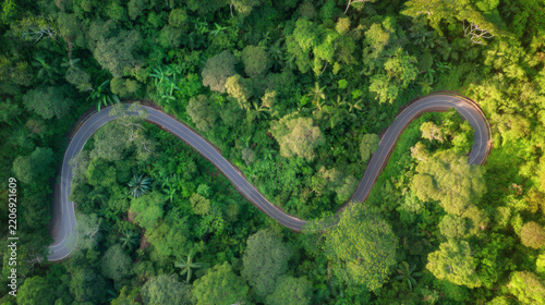 Aerial view of a winding road cutting through dense tropical rainforest, surrounded by lush green tree canopy and soft morning sunlight.