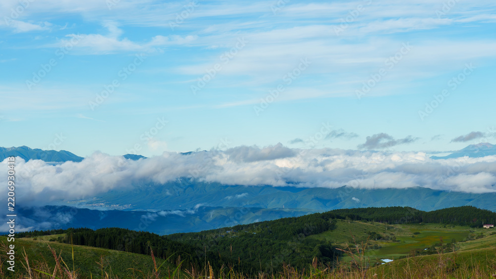 Fototapeta premium 霧ヶ峰の風景