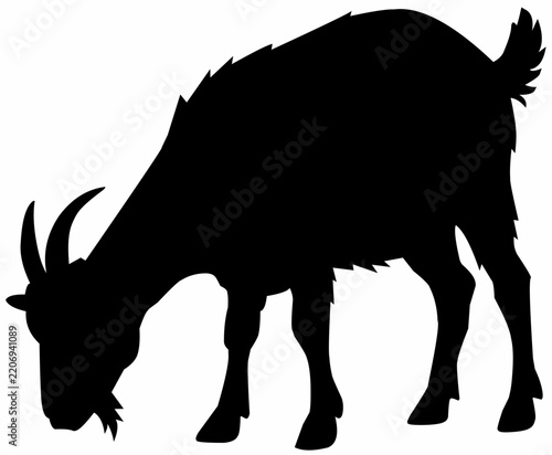 Black Goat Grazing Silhouette