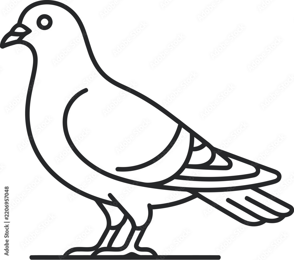 Fototapeta premium vector illustration of a pigeon