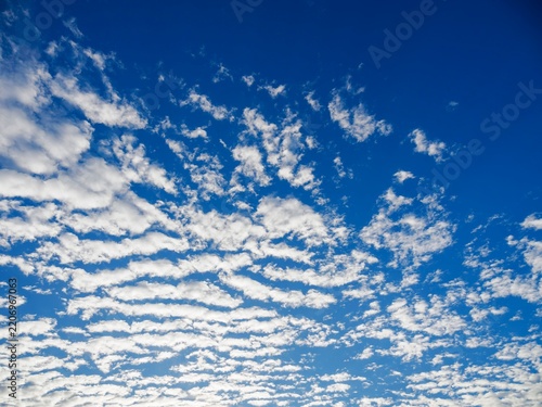 秋空。巻積雲（けんせきうん）。うろこ雲。いわし雲。さば雲。青空。鮮やかな青空。雲模様。
