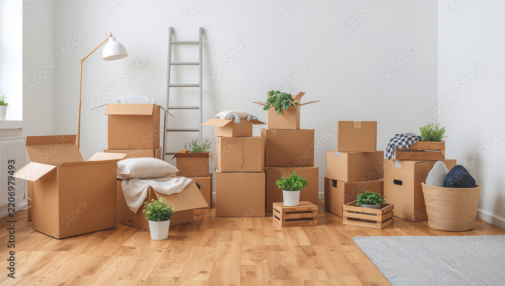 Fototapeta premium Modern interior space filled with cardboard boxes and home decor items