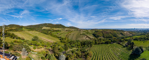 Kahlenberg and Leopoldsberg Vineyards Vienna Austria