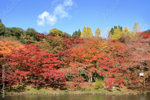 色づく用作公園