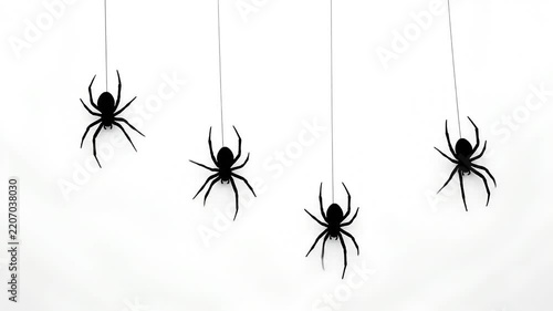 Four black silhouette spiders hanging from threads on white background