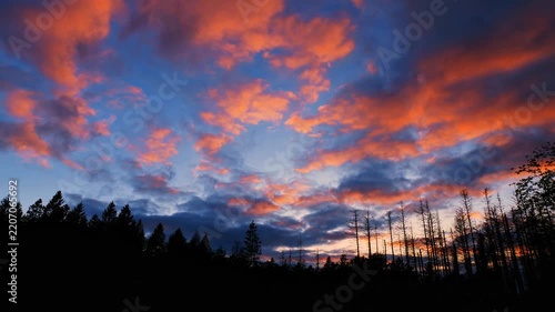 Dramatic sunset clouds glowing in pink and orange shades over a dark silhouetted forest canopy.