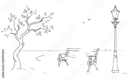 A simple black and white line drawing of a park scene with a tree bench and street lamp