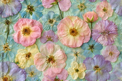 A seamless pattern of pressed flowers in pink, purple and yellow with delicate petals and green stems on a soft blue botanical herbarium background.