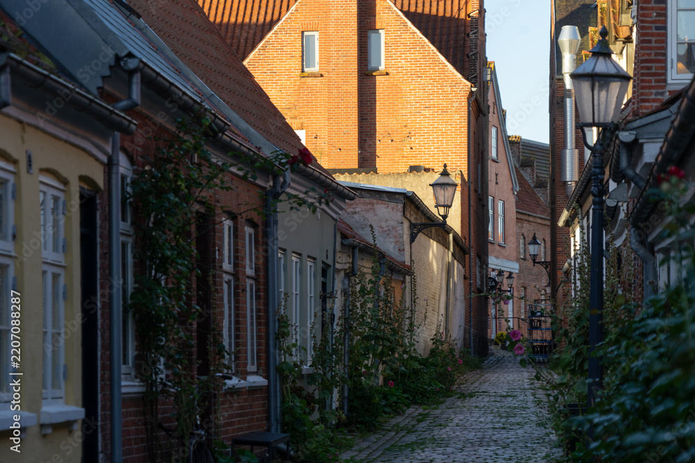 Fototapeta premium Perspective view down an idyllic, narrow cobblestone street in Ribe lined with historic brick houses and illuminated by warm morning sun on the rooftops.