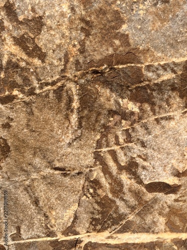 Natural texture of brown stone surface with white quartz veins