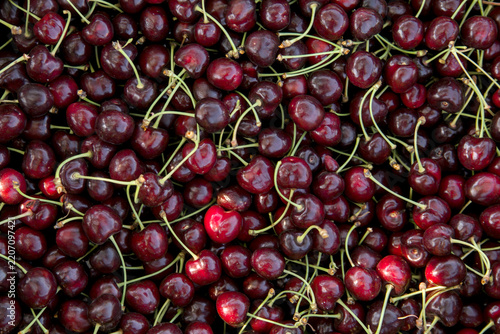 Freshly harvested dark red cherries fill a market display crate completely, showcasing their glossy skins, green stems, and rich ripe textures in natural daylight.