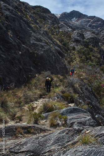 Sierra Nevada National Park. Merida. Venezuela.