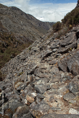Sierra Nevada National Park. Merida. Venezuela.