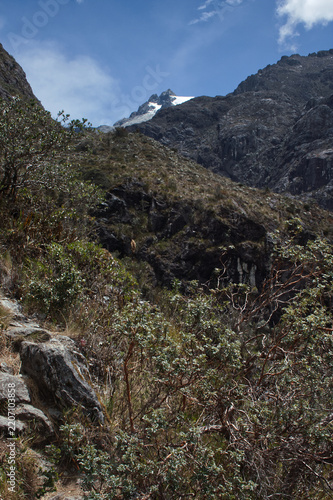 Sierra Nevada National Park. Merida. Venezuela.
