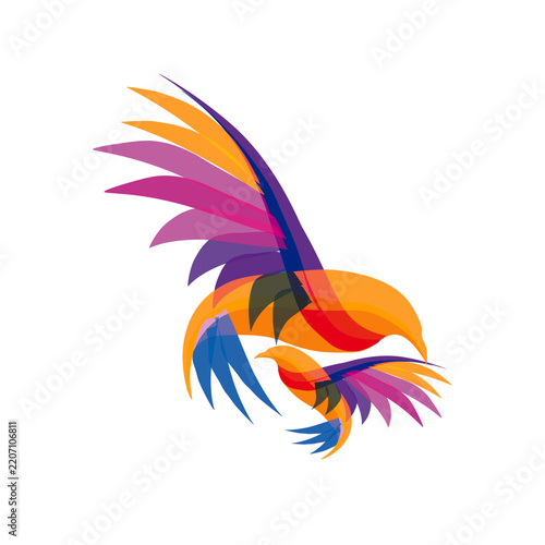 ai5Colorful abstract flying birds vector illustration