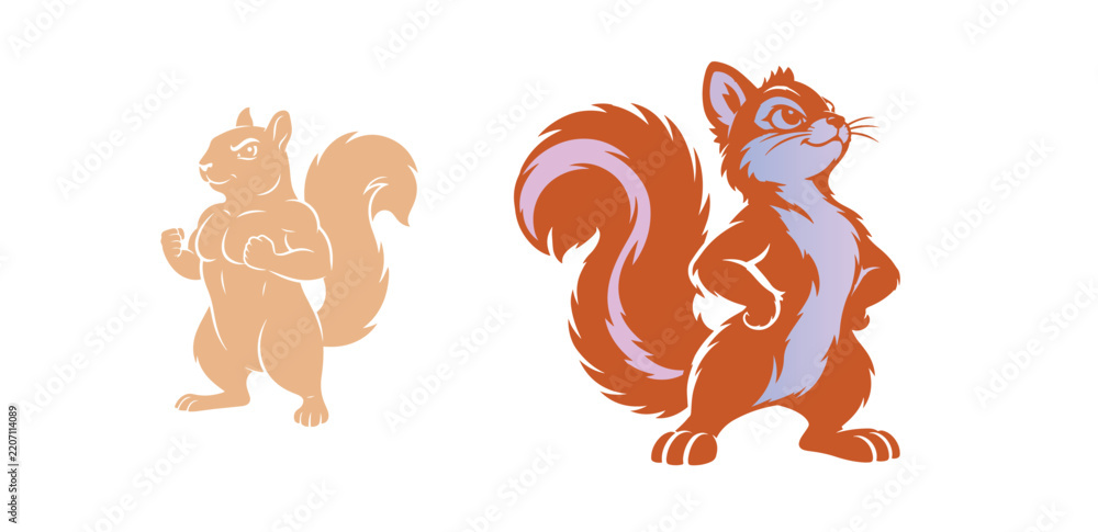 Fototapeta premium A squirrel, showing a brave