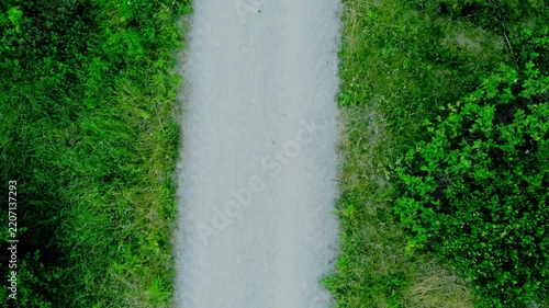 Aerial view of a dirt path through lush green foliage