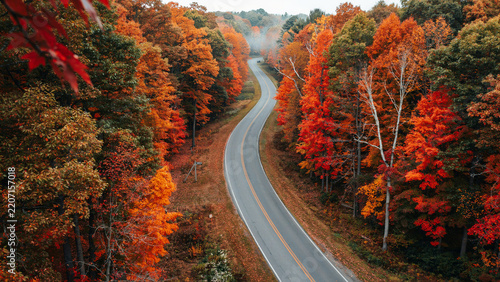 Winding Asphalt Road Through Vibrant Autumn Forest With Colorful Fall Foliage And Scenic Nature Landscape