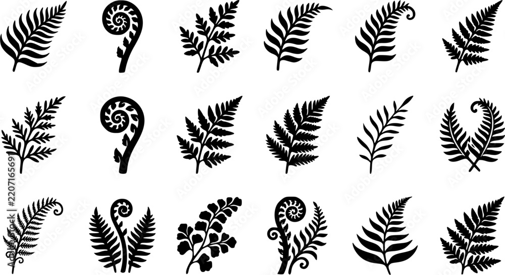 Obraz premium Fern & Frond Curl Silhouette Icon Set. Collection of nature & wildlife silhouettes, including fern & frond curl, detailed plant and flower shapes, and more.