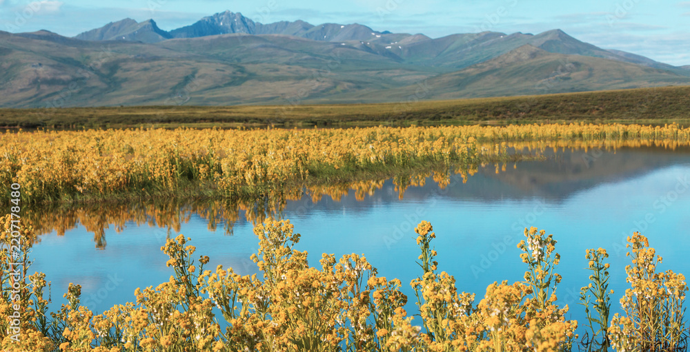 Obraz premium Lake in tundra