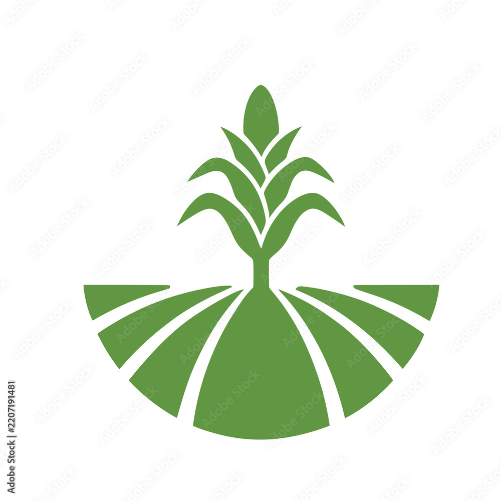 Fototapeta premium Green corn plant icon on transparent background